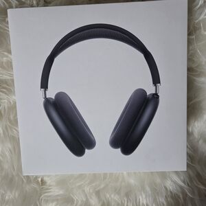 Apple Over-Ear Headphones - Dark Gray